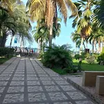 Patuca C4