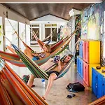 Drop Bear Hostel