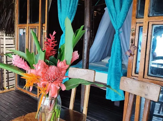 Ohana Beach Paradise