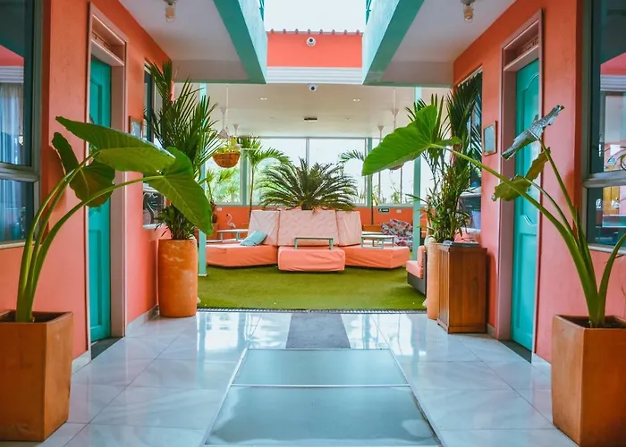 Flamingo Hostel & Coworking