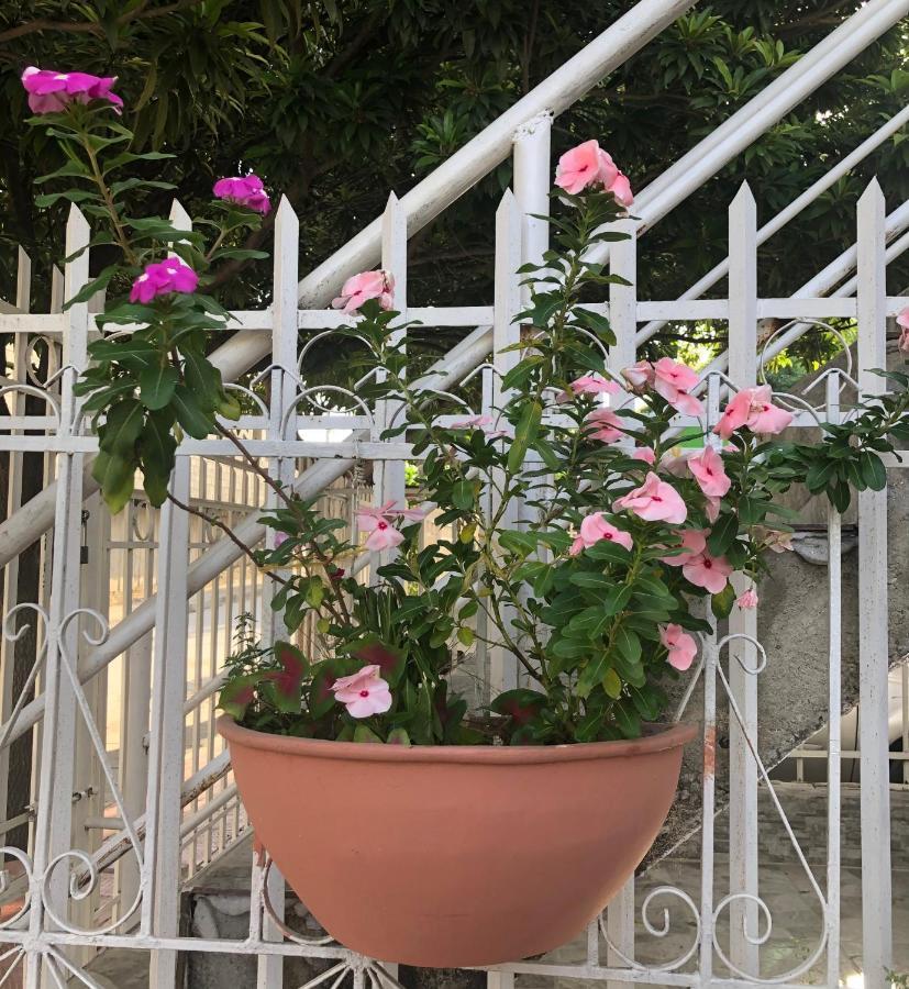 Casa Hospedaje Villaluz- A 5 Minutos De La Playa * Santa Marta (Magdalena)