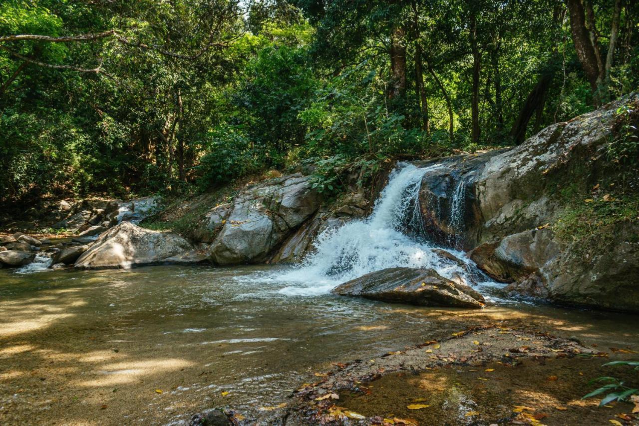 Lodge Club Sierra Limón Santa Marta (Magdalena)
