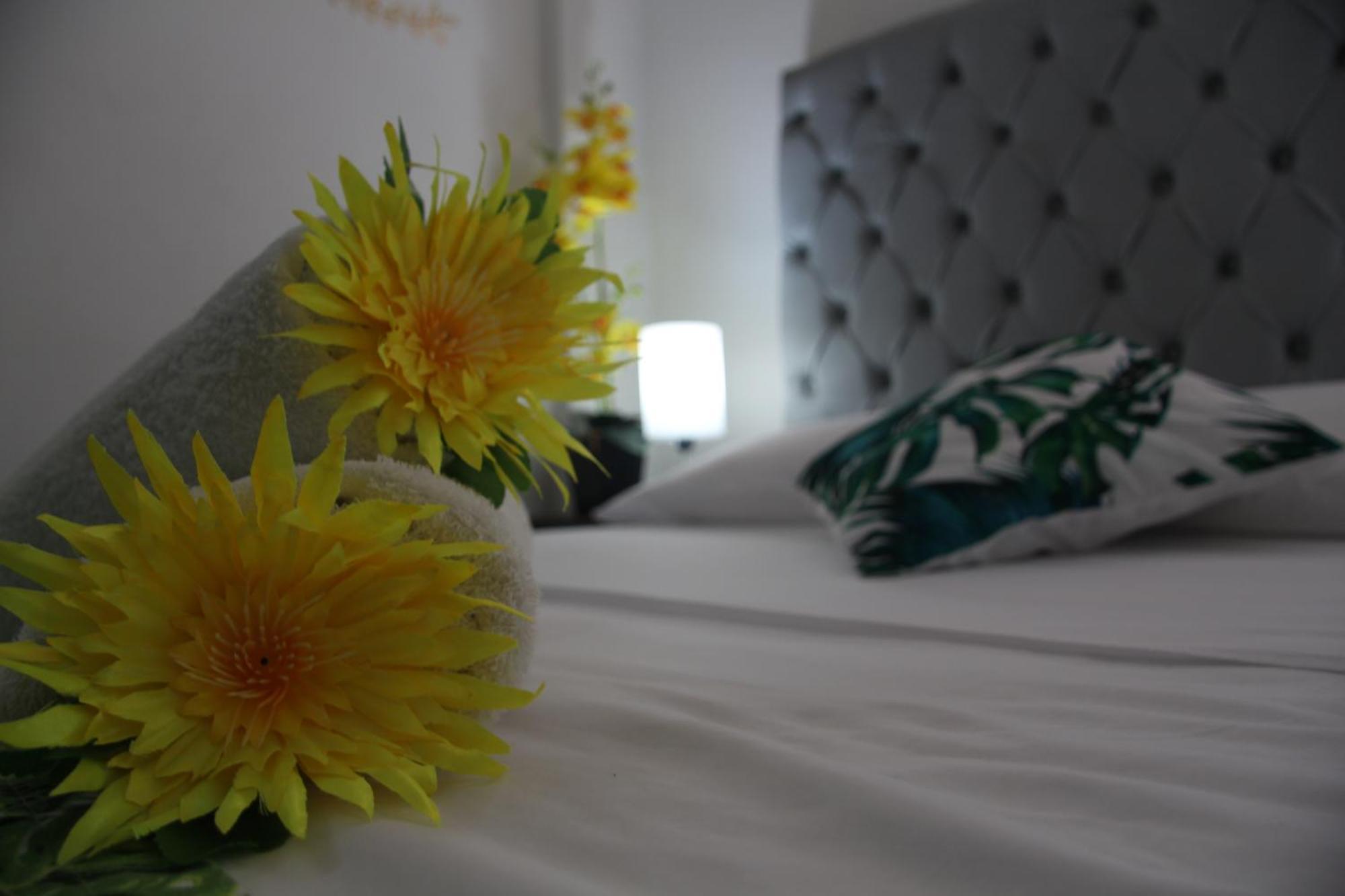 Rodadero Dorado Homestay *