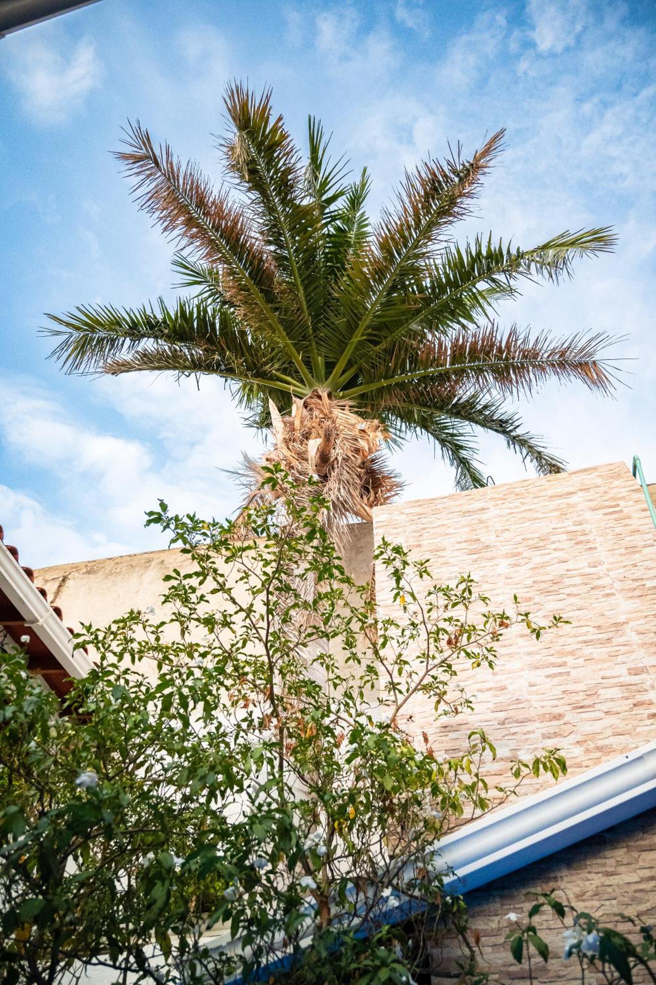 Hotel La Palma