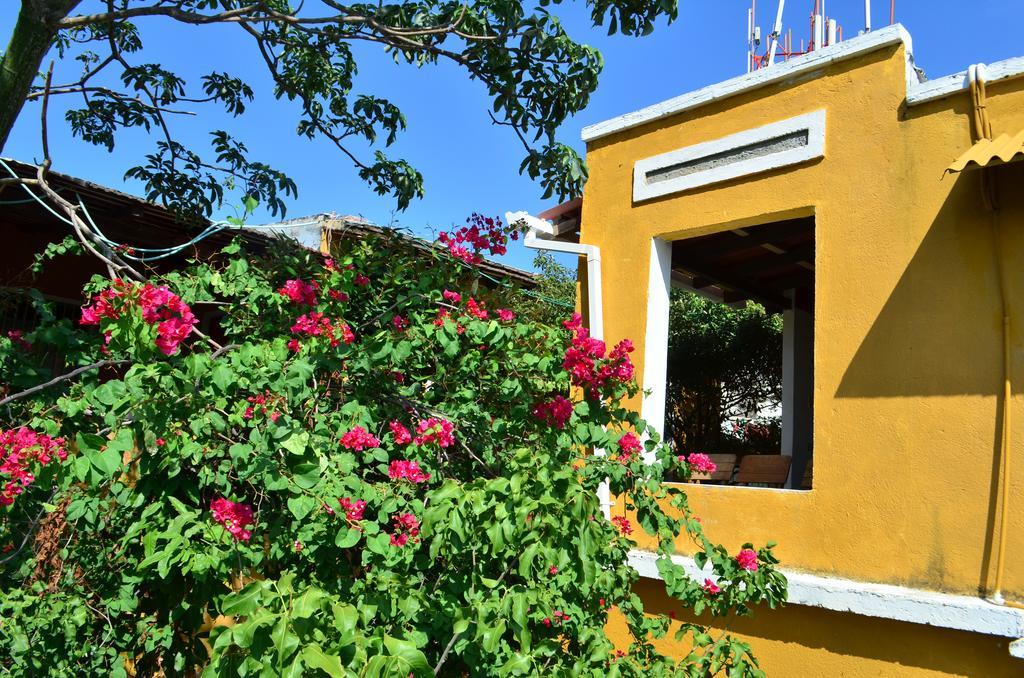 Jardin Etnobotanico Ludovica * Santa Marta (Magdalena)