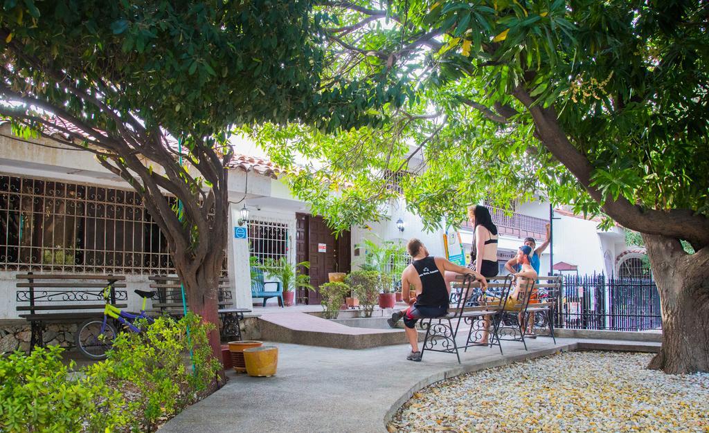 Drop Bear Hostel