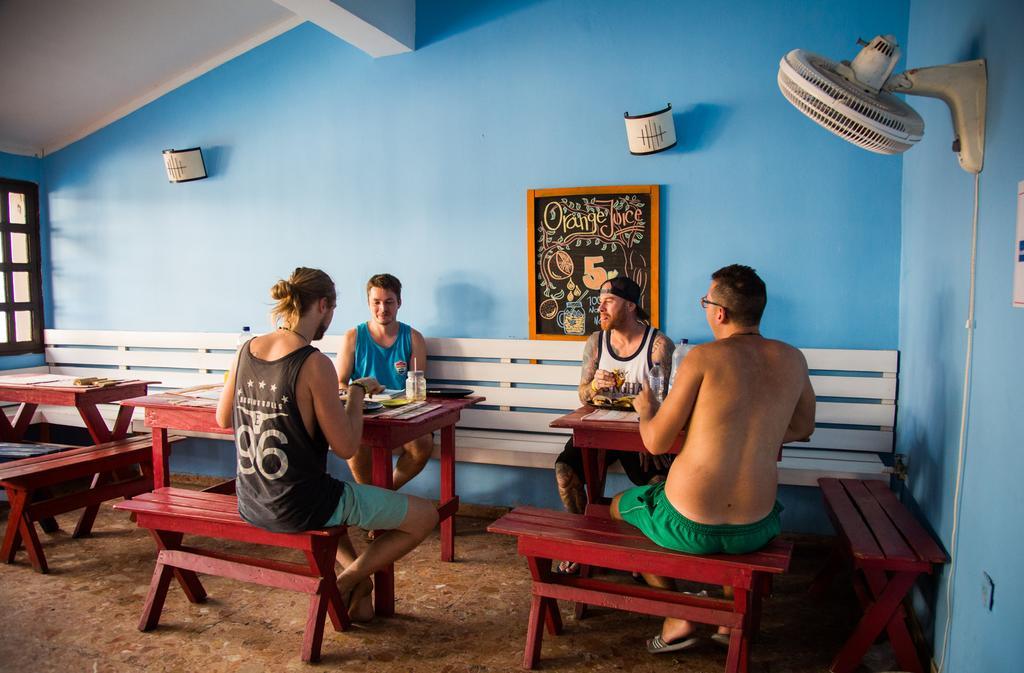 Drop Bear Hostel