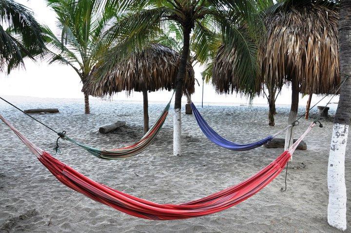 Apartamento En Condominio Los Alcatraces *