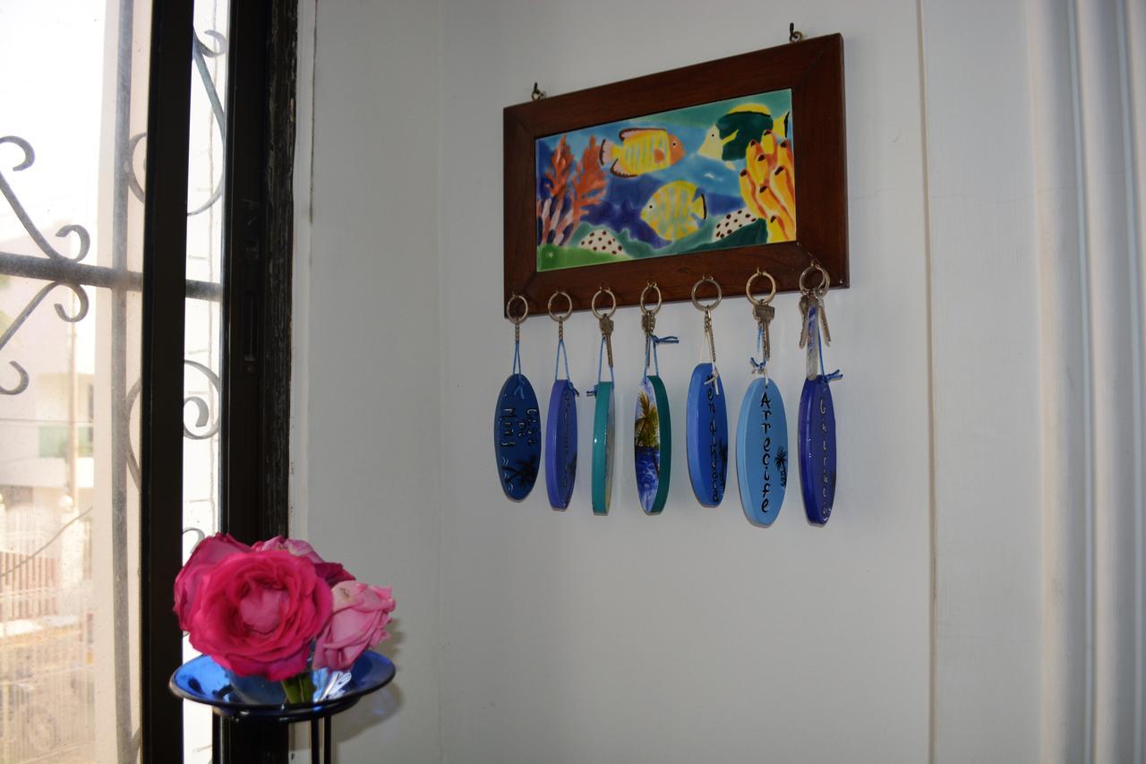 Hostel Casa De Mony