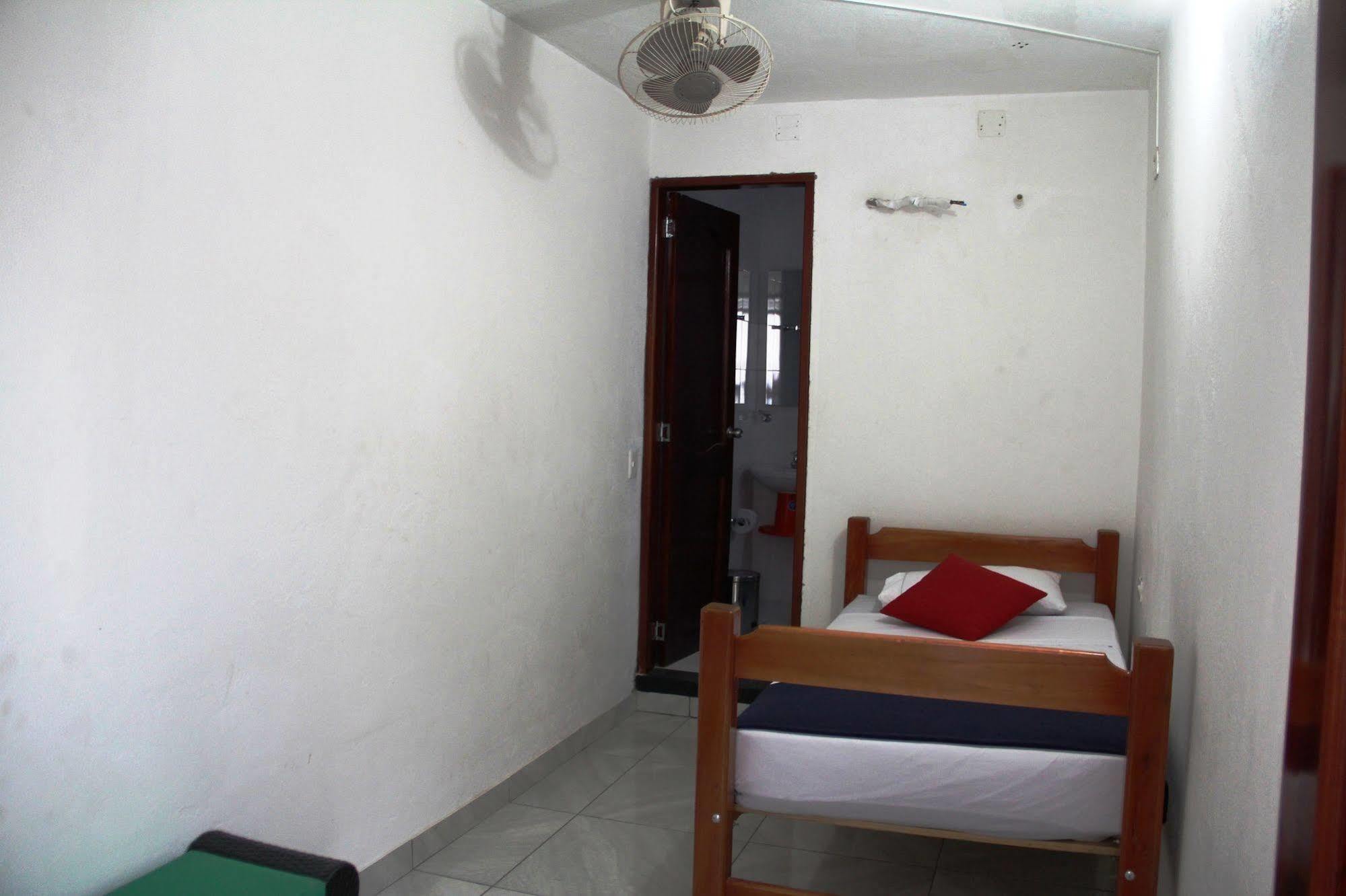 Hostel Flamingo & Coworking *