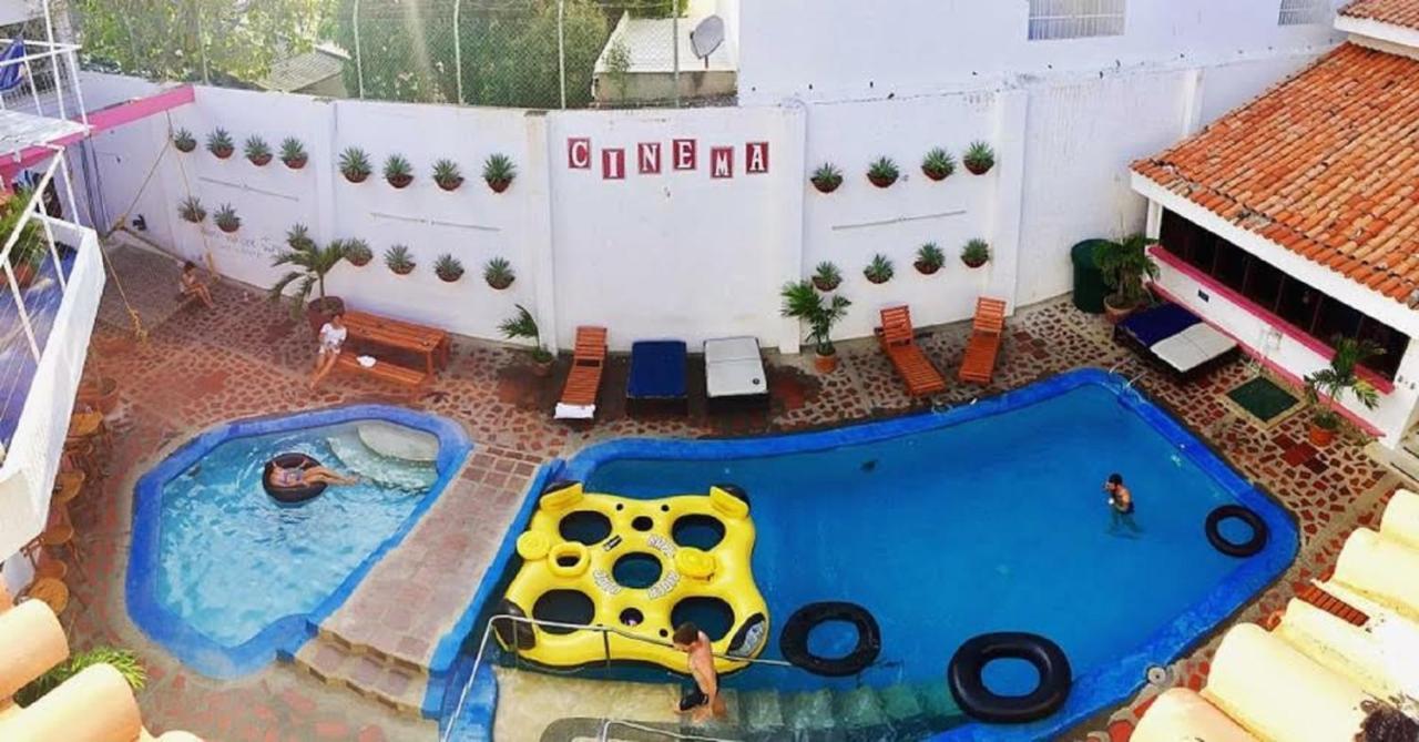 Drop Bear Hostel