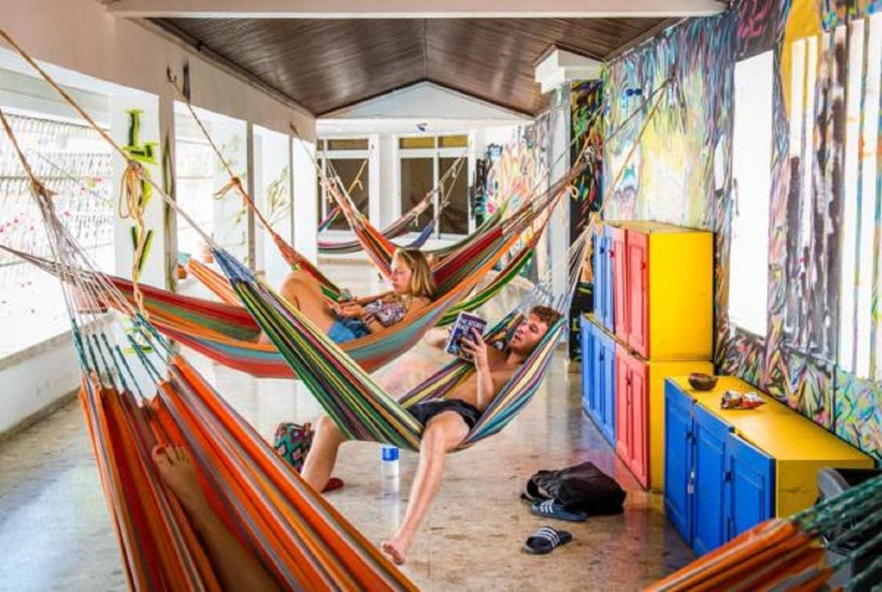 Hostel Drop Bear