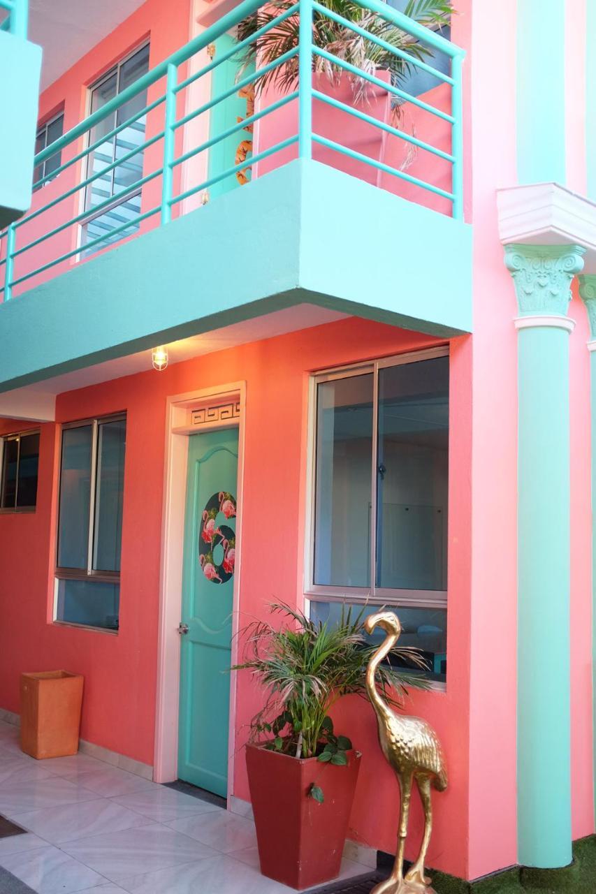 Flamingo & Coworking *