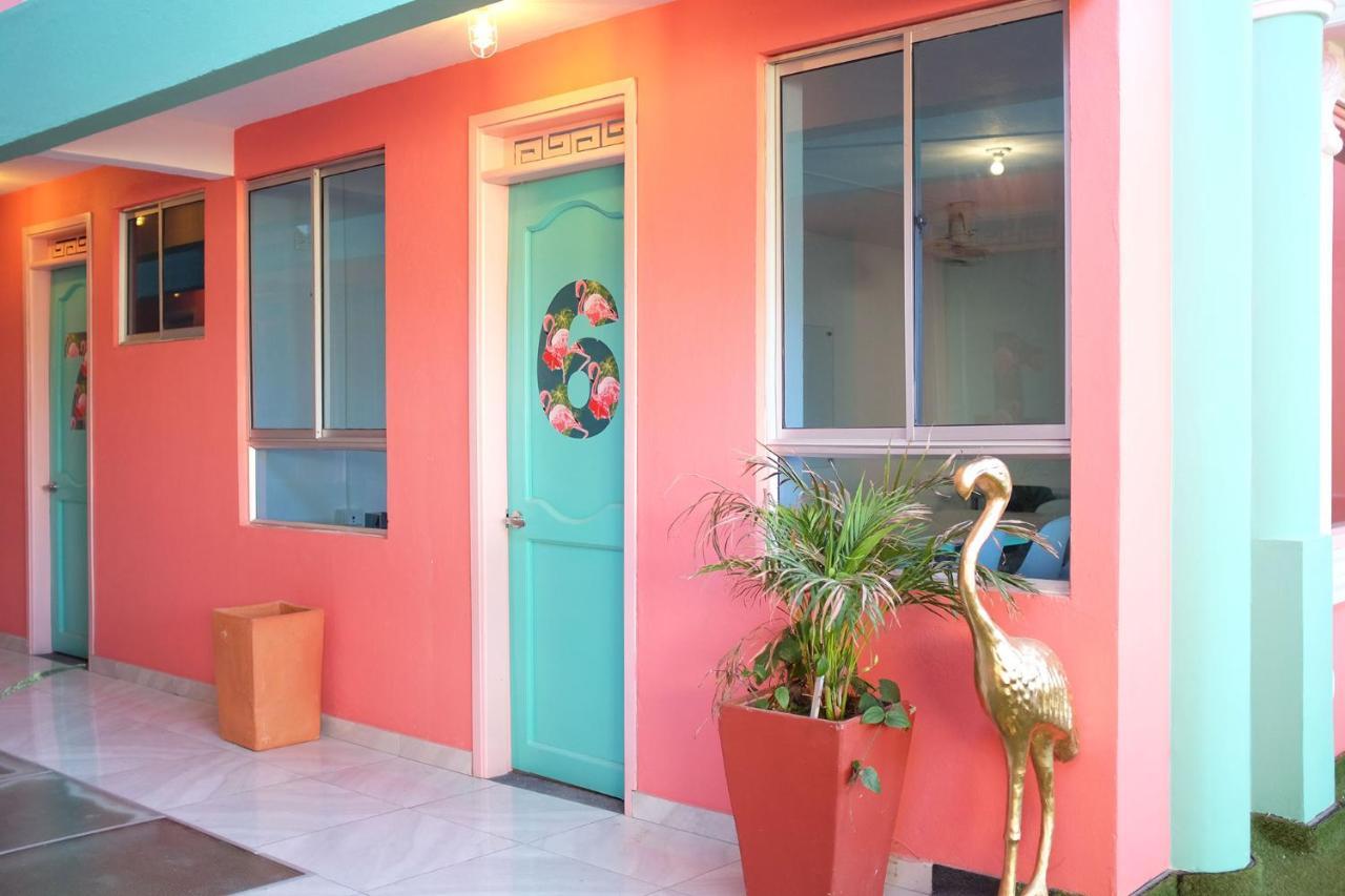 Flamingo & Coworking