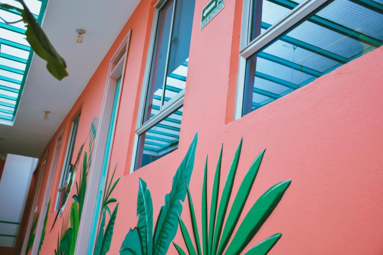 Hostel Flamingo & Coworking Santa Marta (Magdalena)