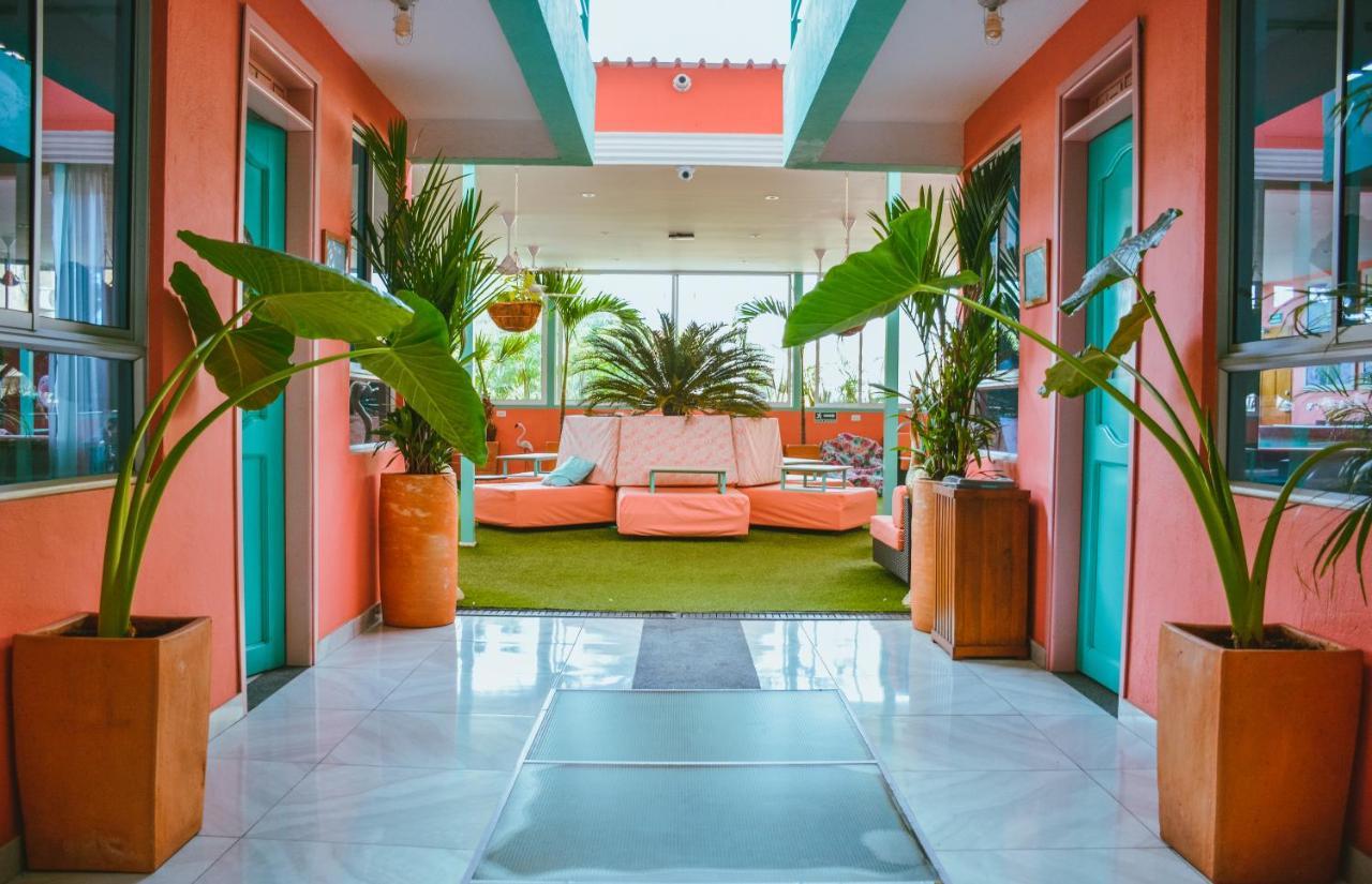 Flamingo & Coworking Hostel