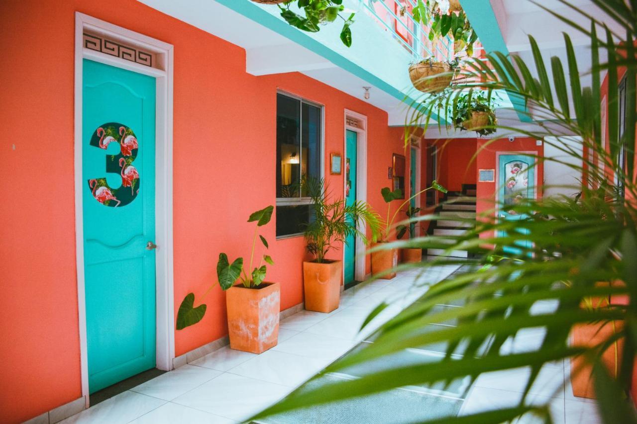 Hostel Flamingo & Coworking Santa Marta (Magdalena)