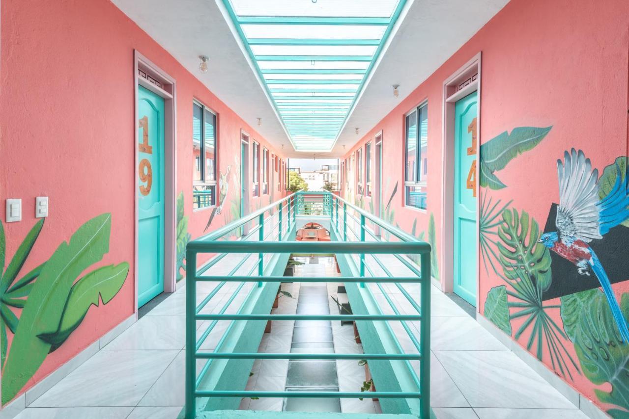 Flamingo & Coworking Santa Marta (Magdalena)