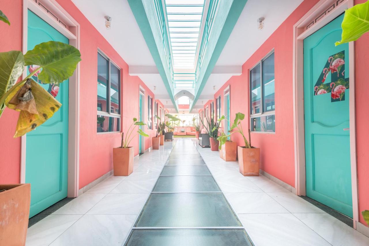 Flamingo & Coworking Hostel *
