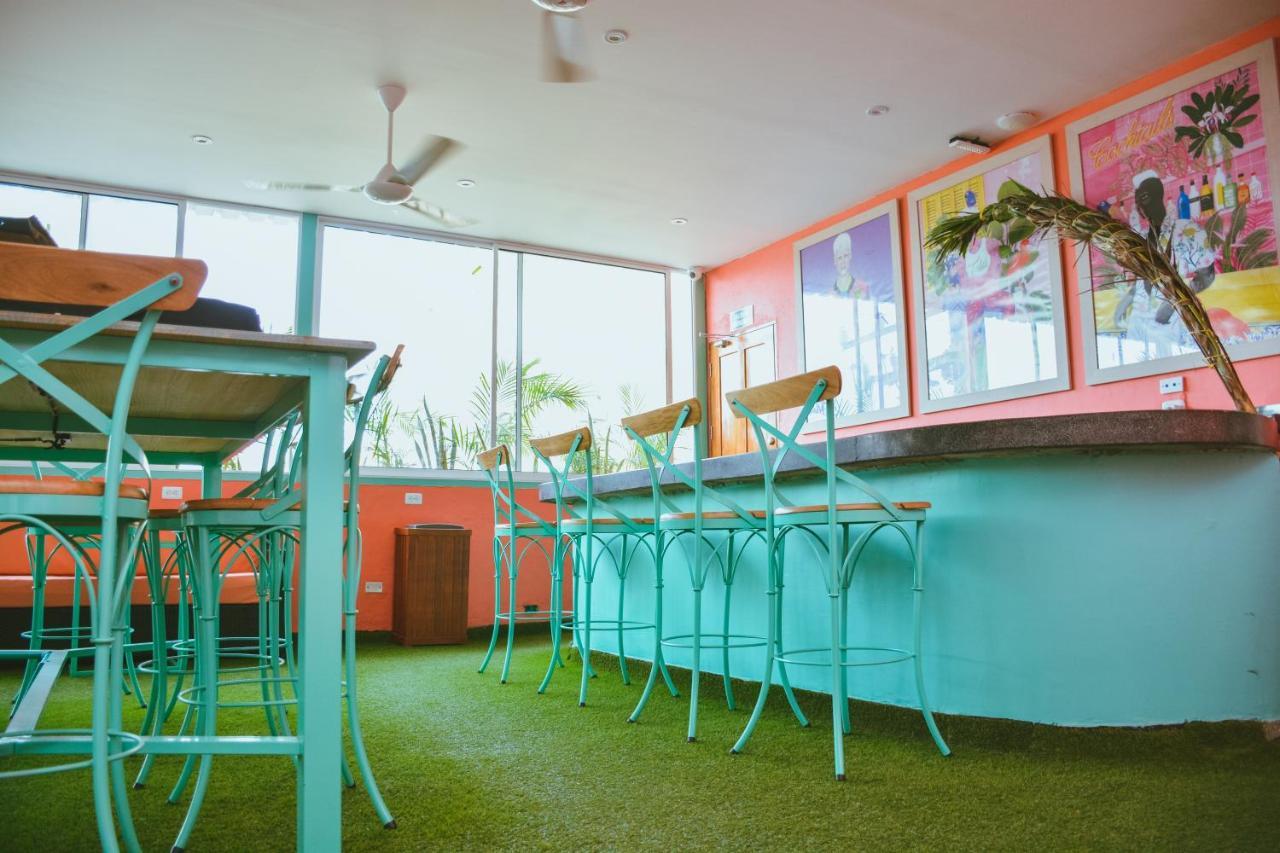 Hostel Flamingo & Coworking *