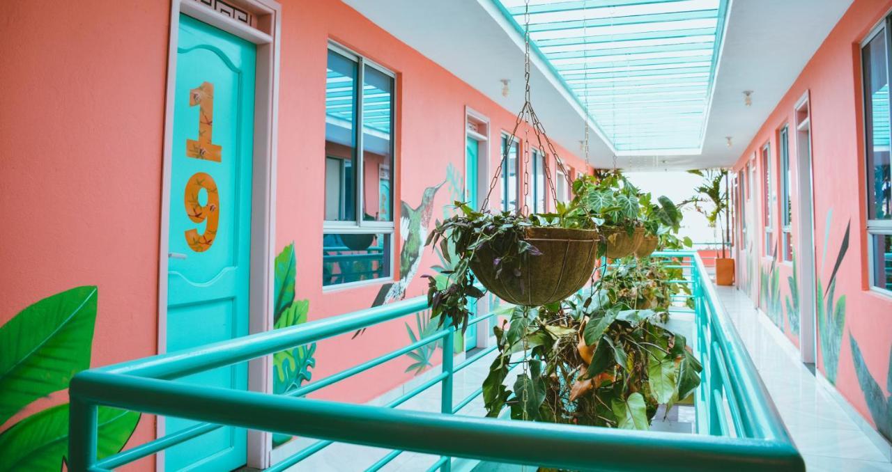 Hostel Flamingo & Coworking Santa Marta (Magdalena)