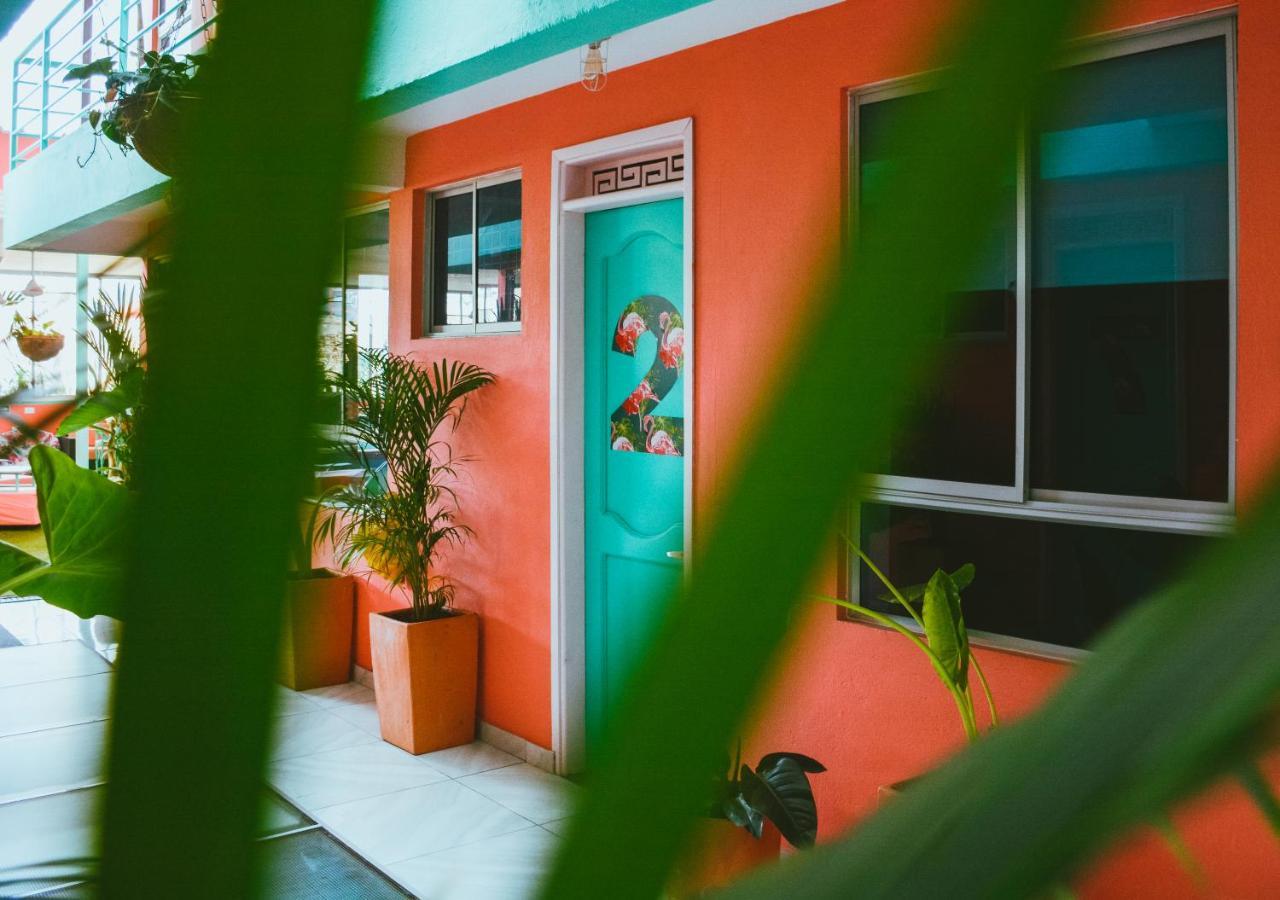 Flamingo & Coworking Hostel