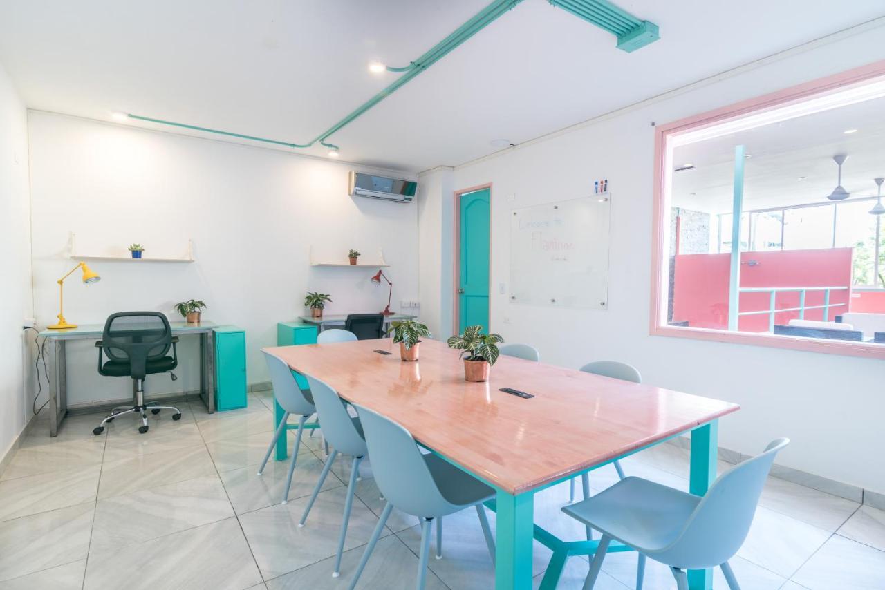 Hostel Flamingo & Coworking *
