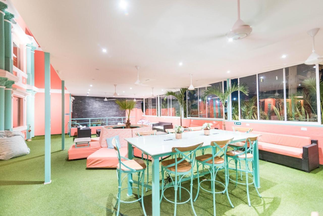 Hostel Flamingo & Coworking *