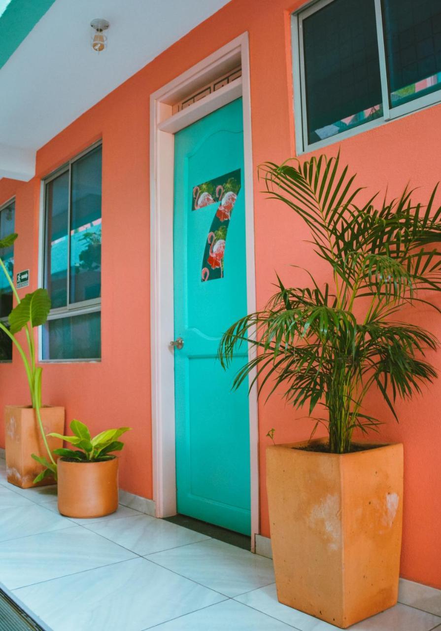 Flamingo & Coworking Santa Marta (Magdalena)