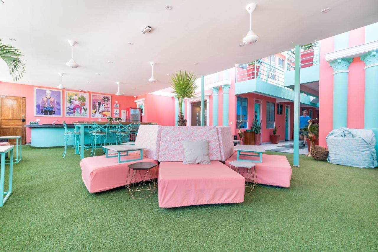 Flamingo & Coworking *