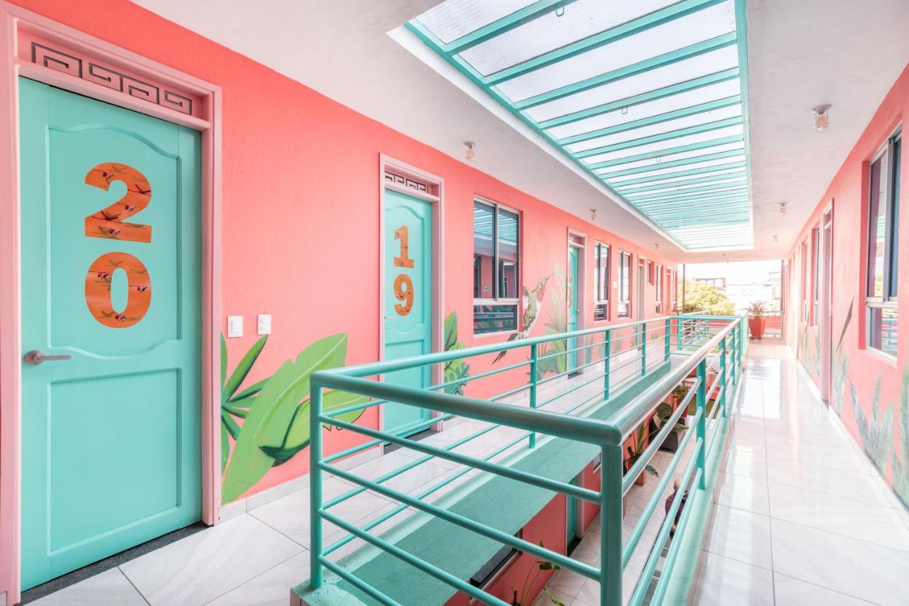Hostel Flamingo & Coworking *