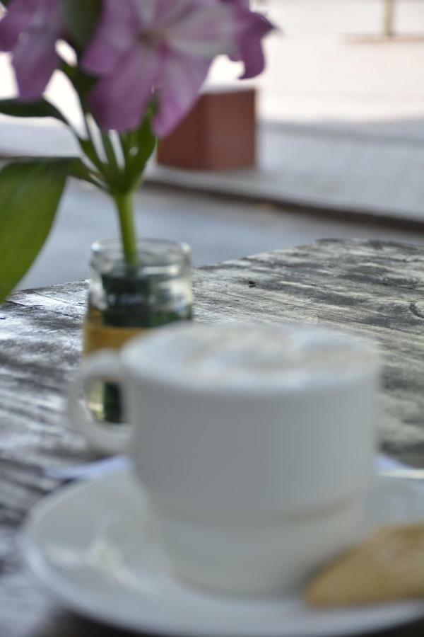 Basilica Y Cafe