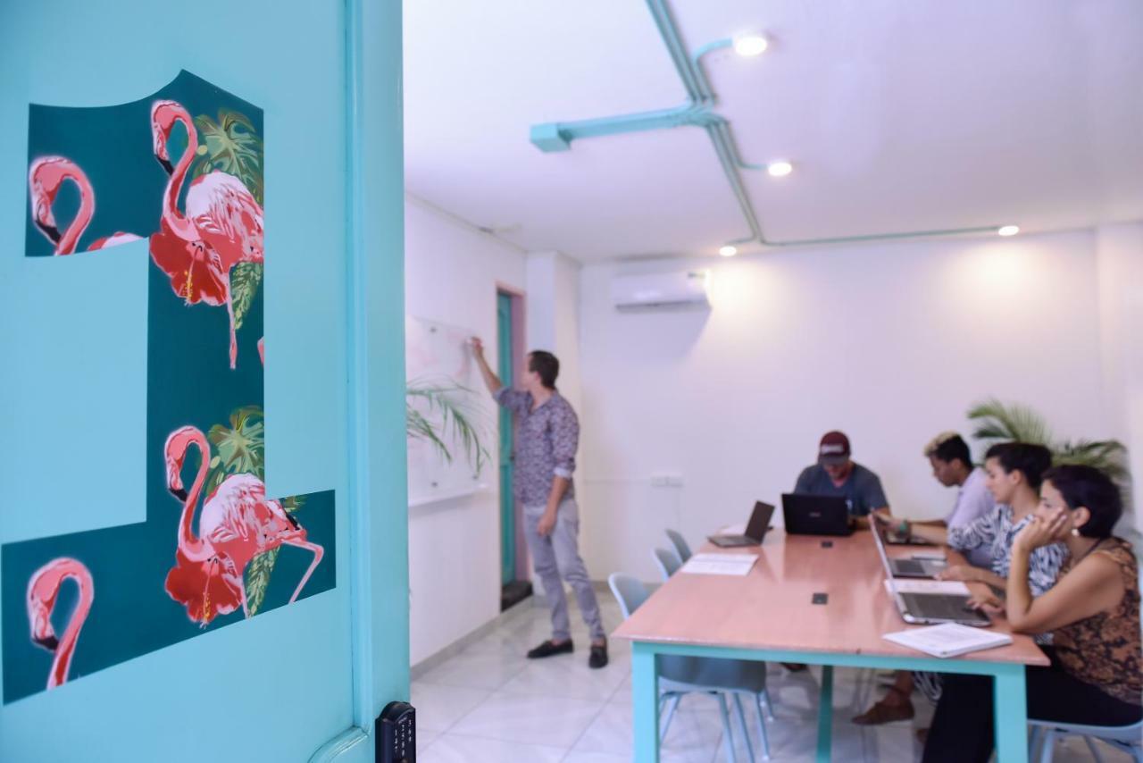 Flamingo & Coworking Hostel Santa Marta (Magdalena)