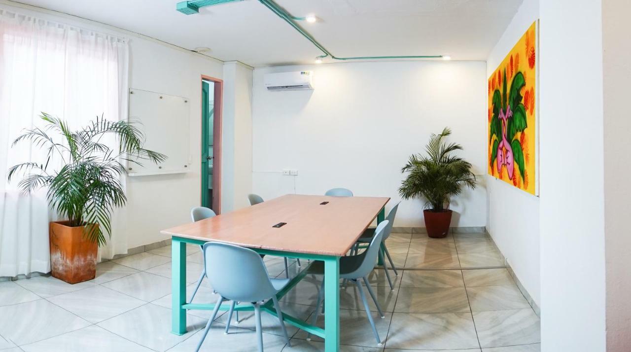 Hostel Flamingo & Coworking *