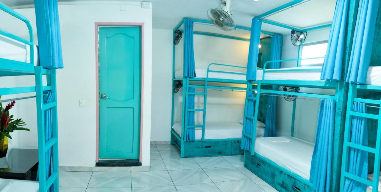 Hostel Flamingo & Coworking *