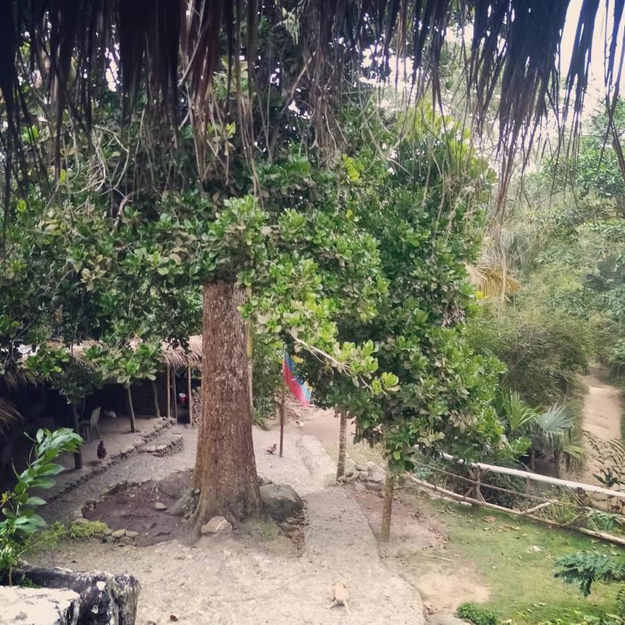 La Cima Tayrona Santa Marta (Magdalena)