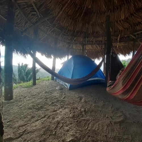 Luxury tent La Cima Tayrona
