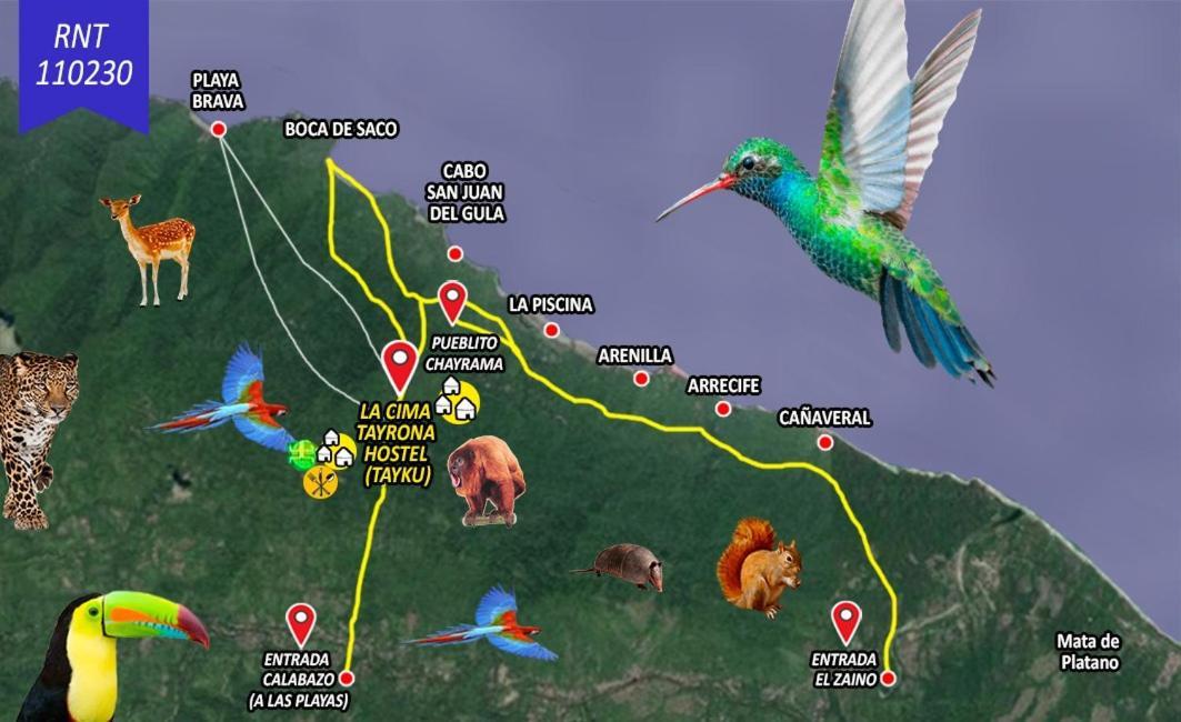 Luxury tent La Cima Tayrona *