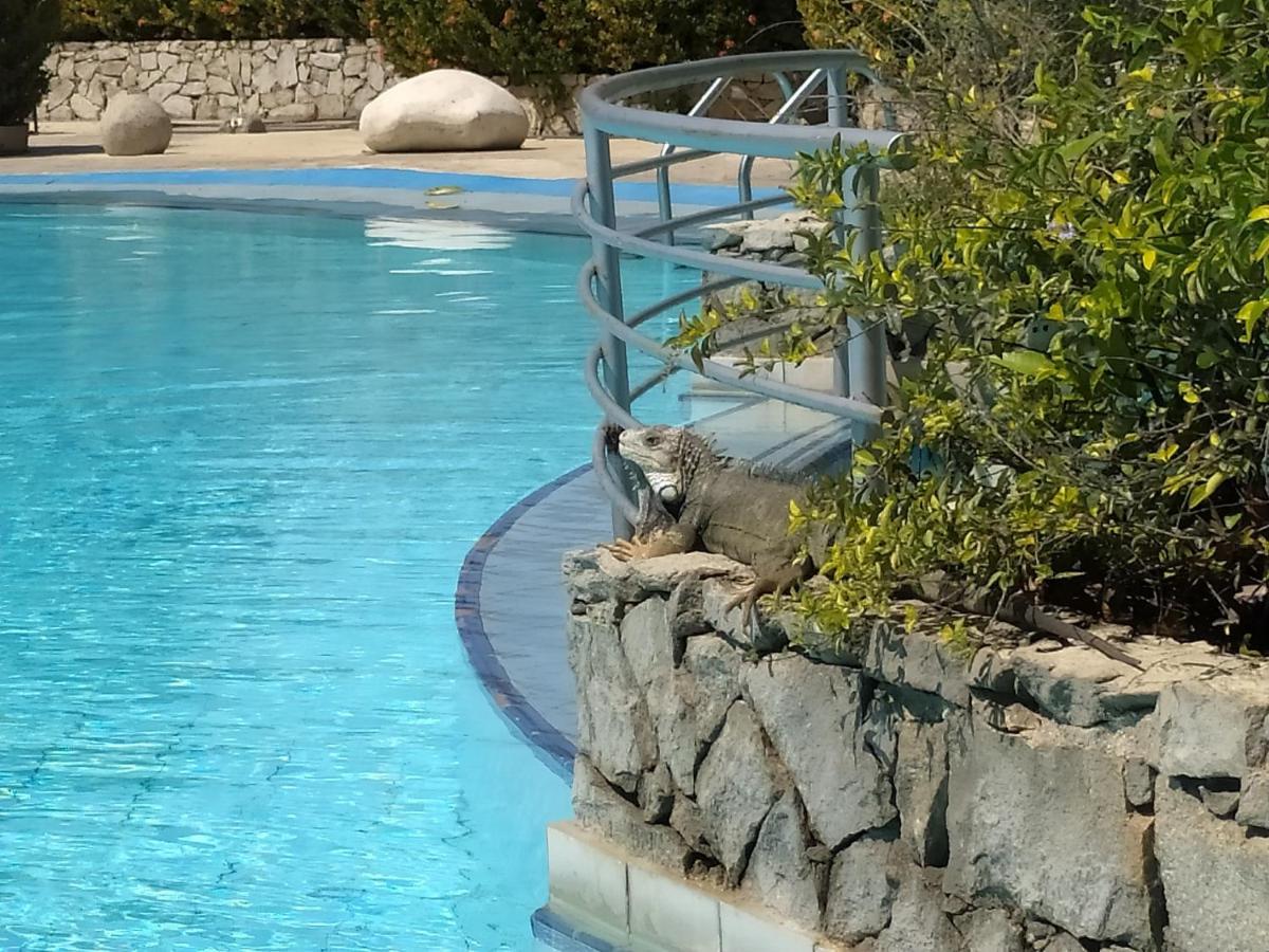 Campestre Ente Rodadero Con Piscina Wifi Ac Holiday home *