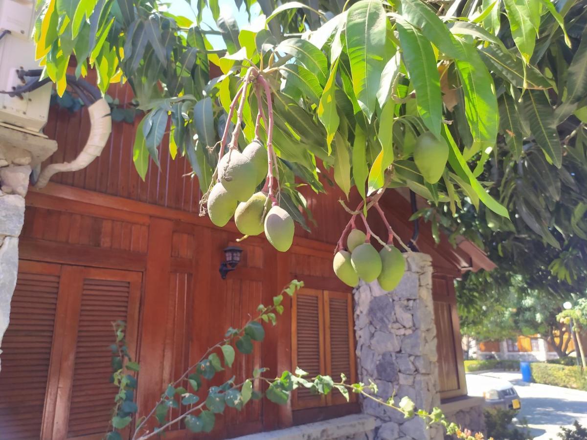 Holiday home Campestre Ente Rodadero Con Piscina Wifi Ac *