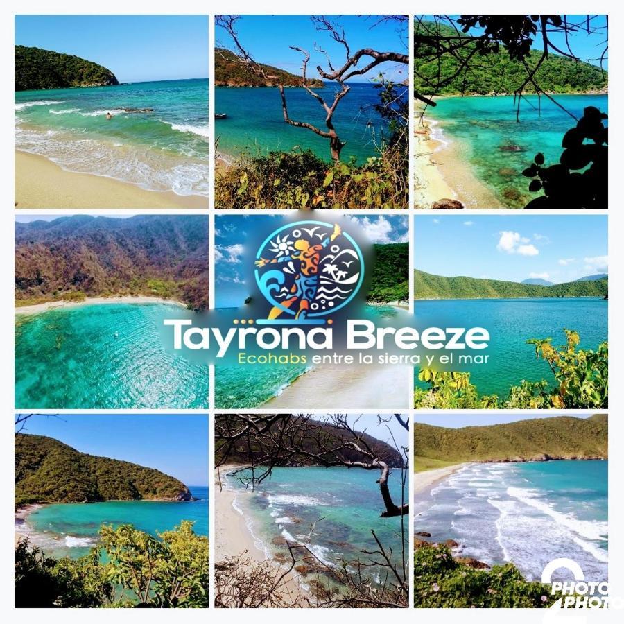 Campsite Tayrona Breeze