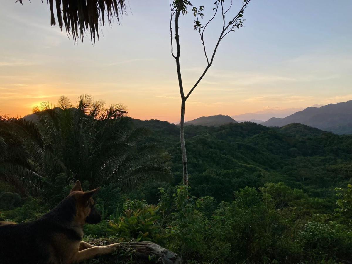 Luxury tent La Cima Tayrona Santa Marta (Magdalena)