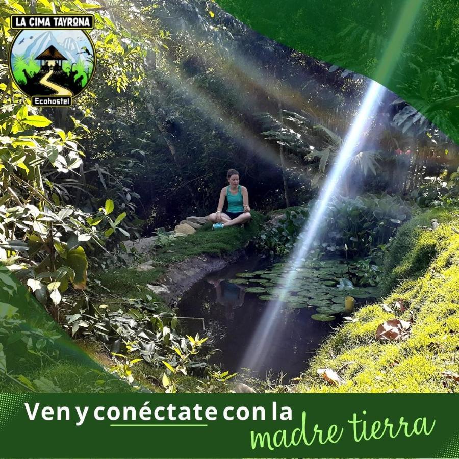 Luxury tent La Cima Tayrona *