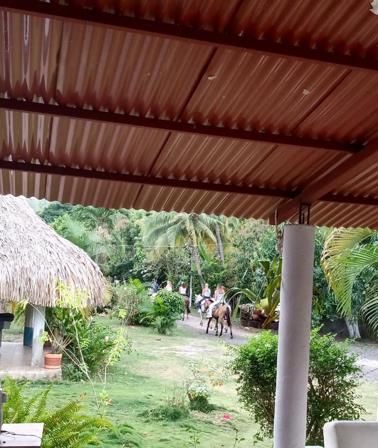Donde Tata, Finca San Martin * Santa Marta (Magdalena)