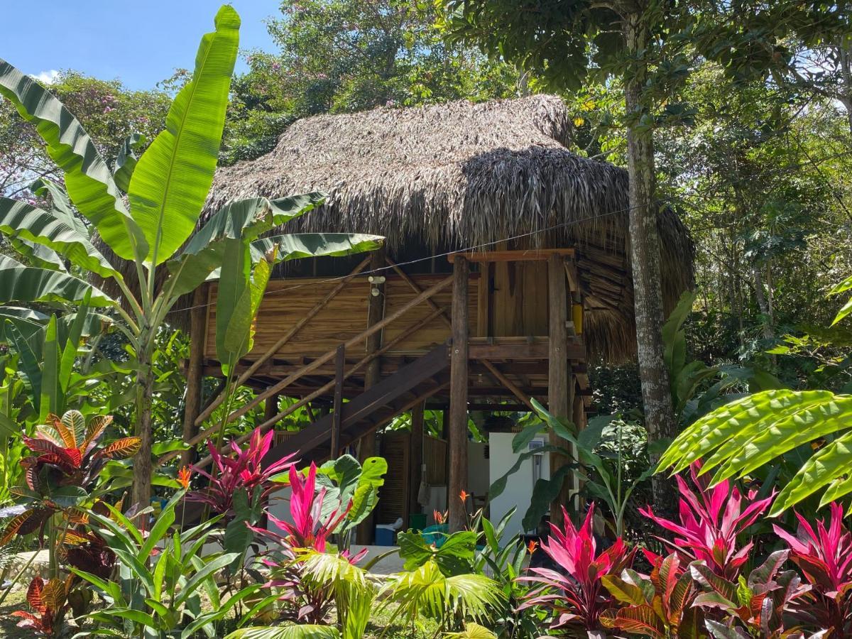 Villa Salvia Madre Santa Marta (Magdalena)