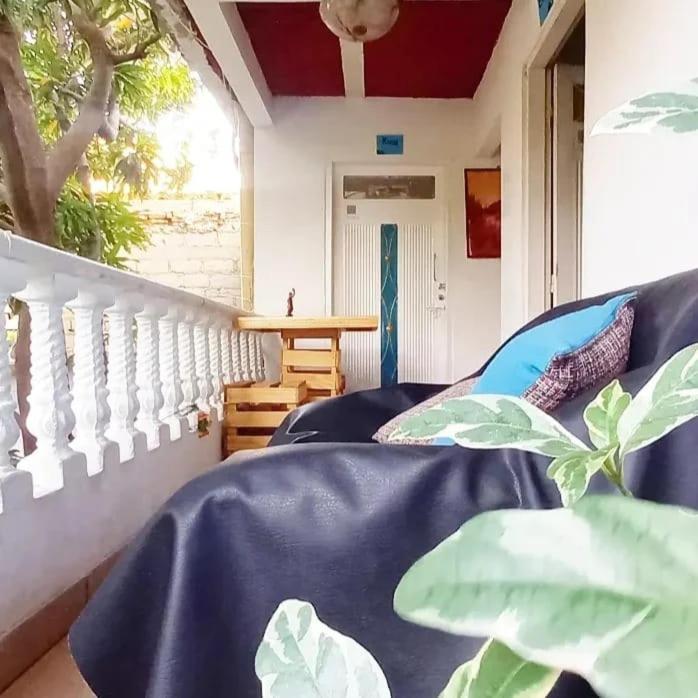 El Oasis Casa