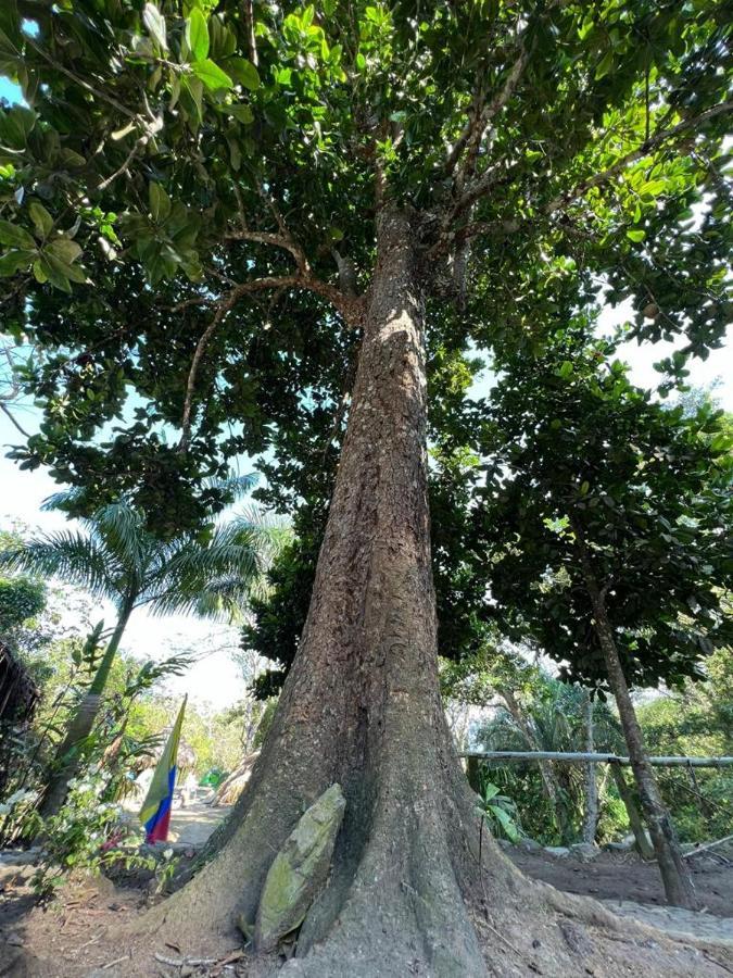 La Cima Tayrona Luxury tent Santa Marta (Magdalena)