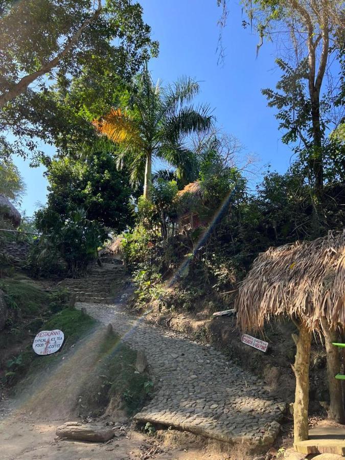 La Cima Tayrona Luxury tent Santa Marta (Magdalena)