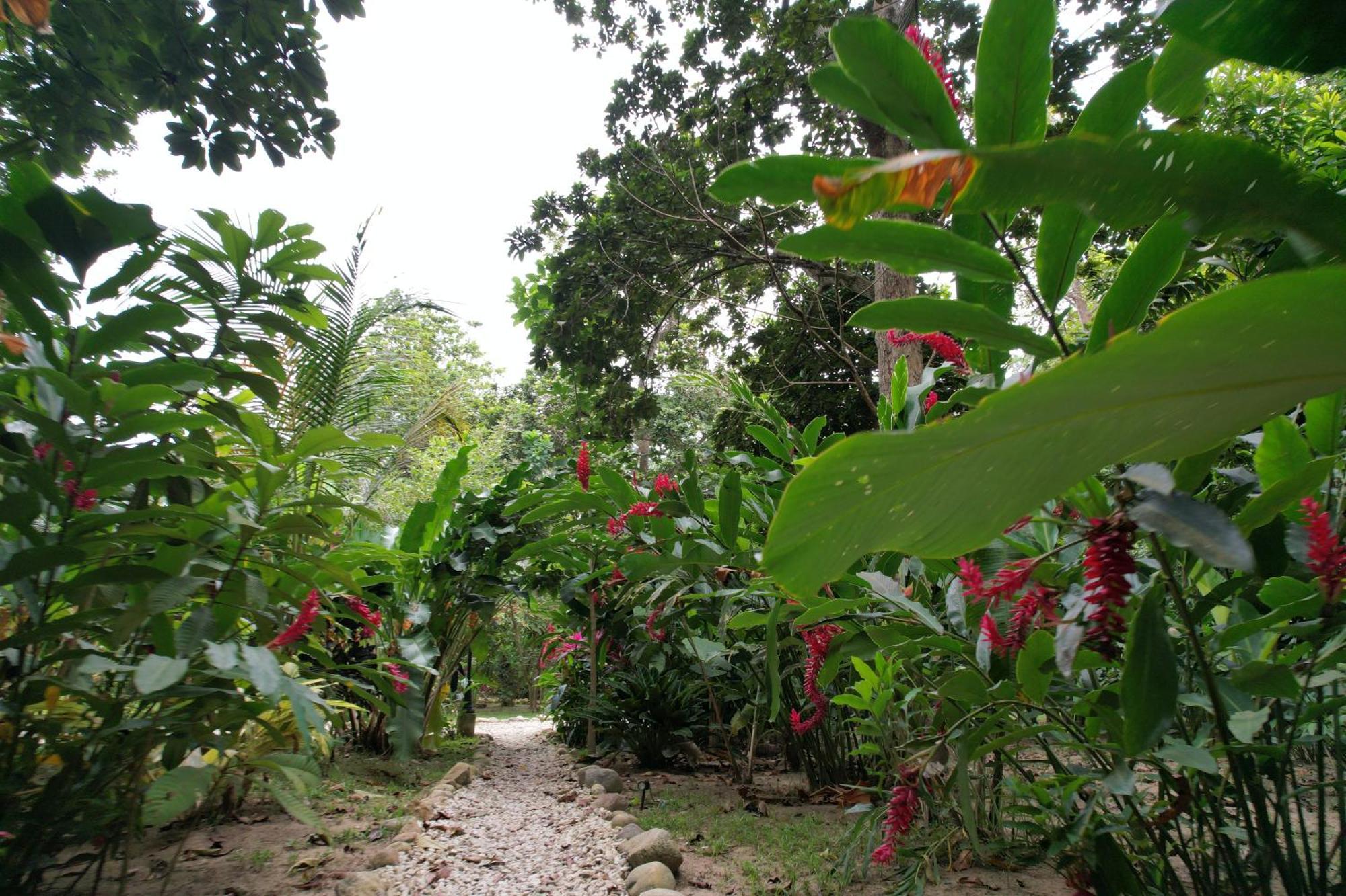 Salvia Madre Villa Santa Marta (Magdalena)