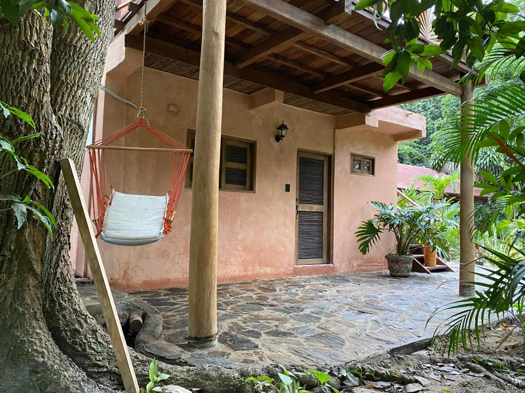 Salvia Madre Santa Marta (Magdalena)